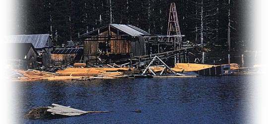 Sawmill in disarray