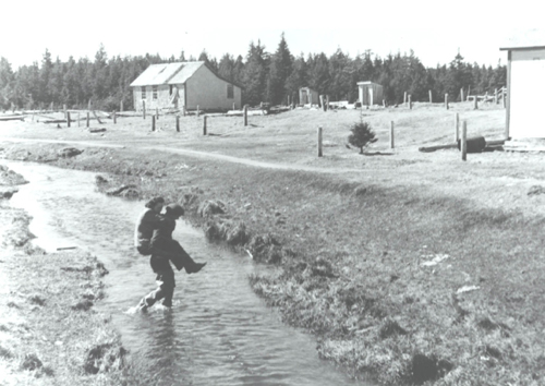 Afognak-Village-1943-rivercrossing.jpg